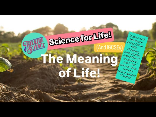 IGCSE Double Award Science Lesson 1!