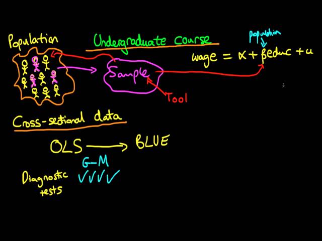 Undergraduate econometrics syllabus