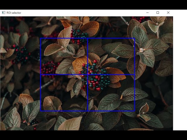 Draw Region of Interest ROI on an Image in OpenCV with Python