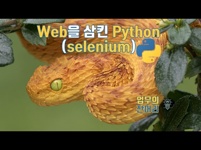 Web을 삼킨 파이썬 (Python with selenium)