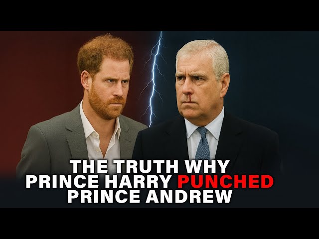 The Truth Why Prince Harry Punched Prince Andrew