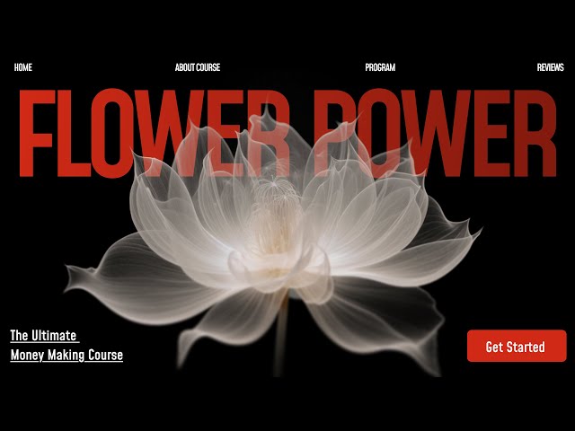 Landing Page HTML CSS | New Design | #landingpage #html #webdesign