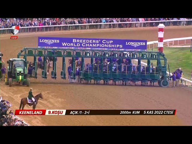 (USA) BREEDER'S CUP CLASSIC 2022 / FLIGHTLINE - FLAVIEN PRAT