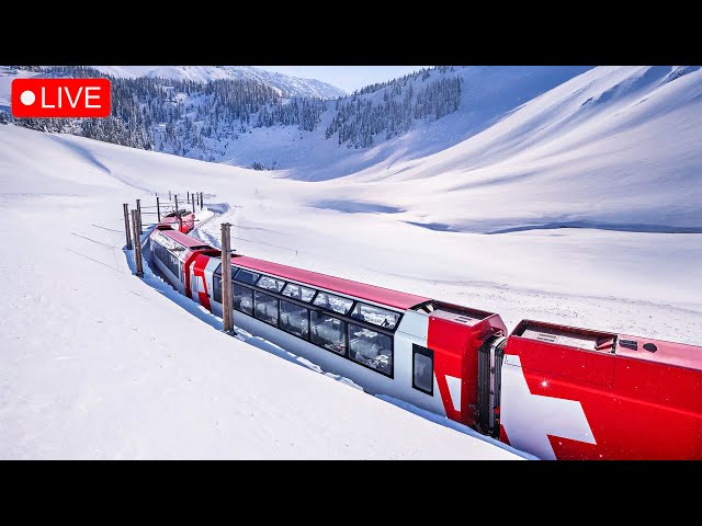 Winter Wonderland 24/7 - Beautiful Relaxing Peaceful Music & Calm Ambience