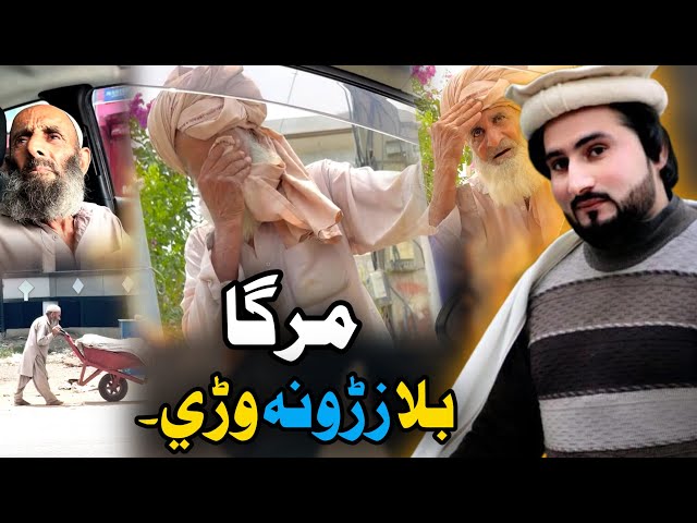 Bewasa Pukhtana With Amjad Khan Ep #(277) مرگا بلا زڑونہ وڑي