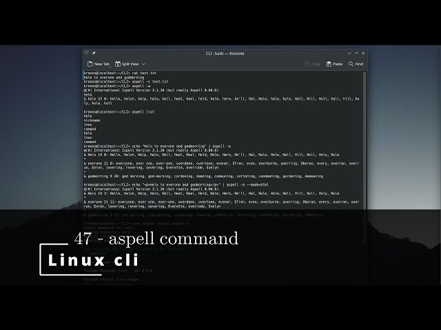 Linux CLI 47 🐧  aspell command