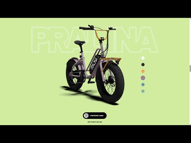 SentiMental Bikes