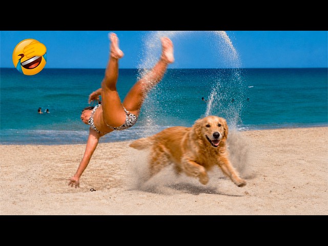 Funniest Animal Videos 2026 😂 When Animals Decide Normal Is Not an Option
