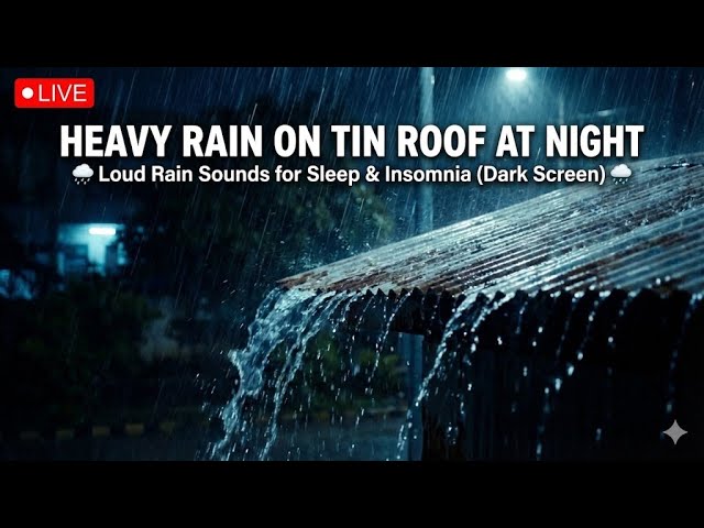 🔴 LIVE: Heavy Rain on Tin Roof at Night 🌧️ Loud Rain Sounds for Sleep & Insomnia (Dark Screen)