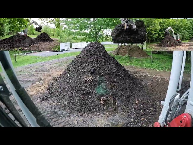 Can We Save This Massive Blue Spruce After the Storm? | Compost Progress & Tree Rescue