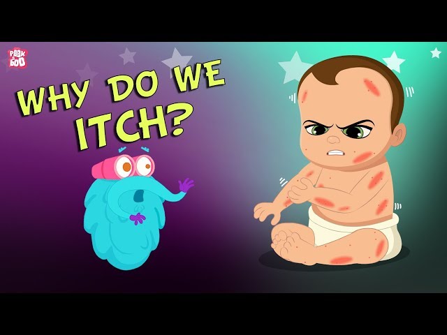 Why Do We Itch? The Dr. Binocs Show | Best Learning Videos For Kids | Peekaboo Kidz
