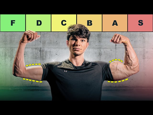 Tierlist PDM final