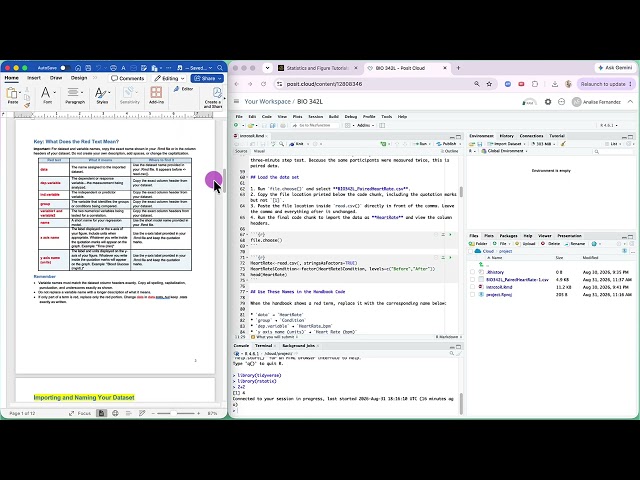 R Studio Handbook Intro + Paired t-Test and Bar Graph Tutorial