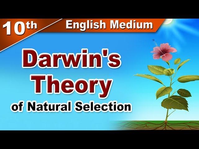 Class 10 | SSC | Darwin's theory of evolution | Science | NCERT |  Home Revise