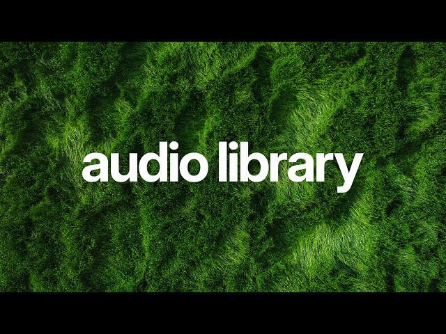 Peaceful Chill Music for Study Sessions and Reading 📚 (Free to Use) | MEZCLA - Serenity