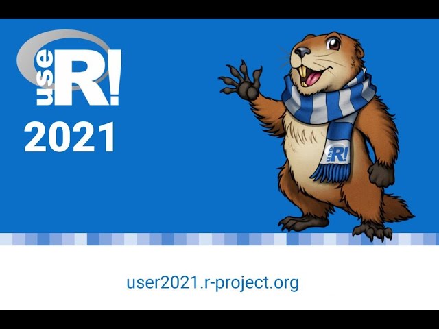 Teaching an introductory programming course with R