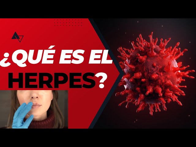 What is the Herpes virus?