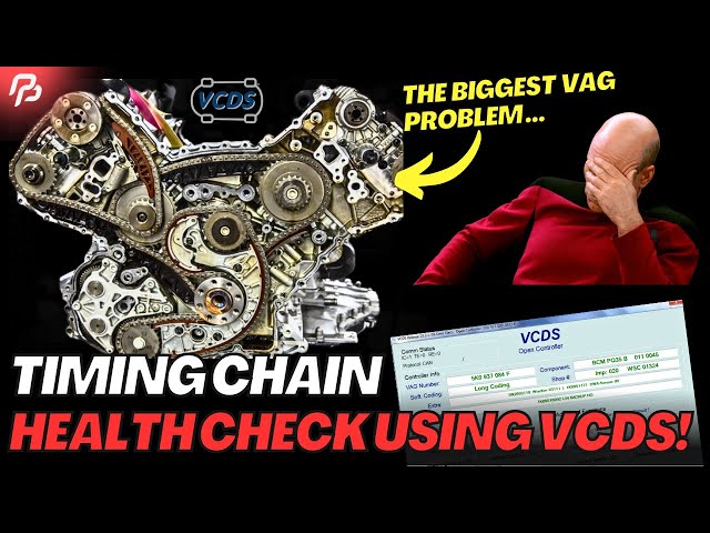 HOW TO CHECK Timing Chain Stretch / WEAR (Audi and VW) using VCDS | Test That Will Save Your Engine