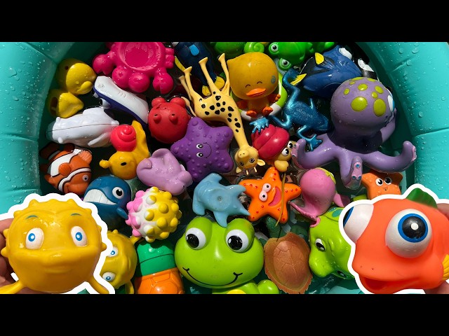 EXPLORE OCEAN ANIMAL NAMES AND FACTS| SEA ANIMAL TOYS FOR TODDLERS AND PRESCHOOLERS