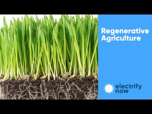 Regenerative Agriculture - Sequestering Carbon in Agricultural Soil