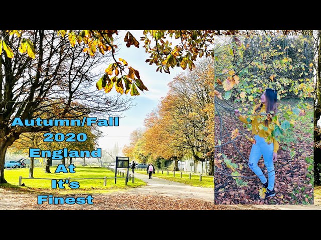 November Autumn/Fall | England's Natural Beauty At It's Finest | Fall 2020 | Laleham  Surrey