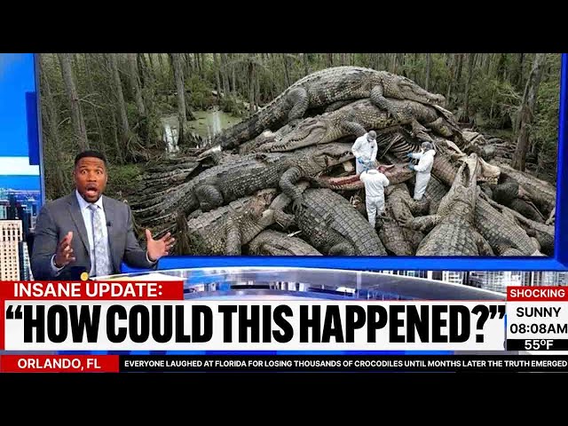 Everyone Laughed at Florida for Losing THOUSANDS of Crocodiles Until Months Later the Truth Emerged