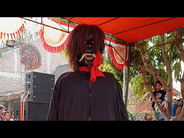 Dawangan Cahyo Lestari Budhoyo live Pucuksari