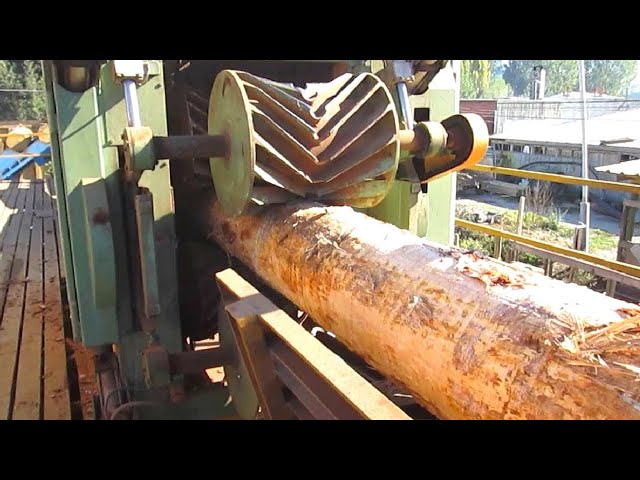 Crazy Wood Processing Machines  And Skilled Workers | Big Wood Logs Processing Factory