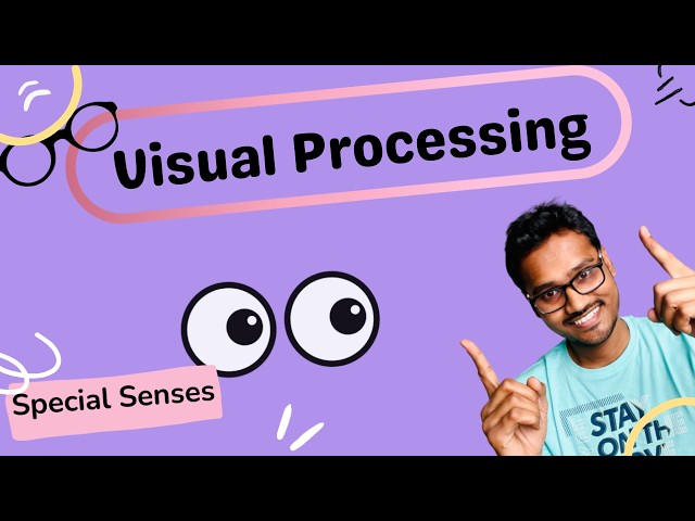 Visual Processing