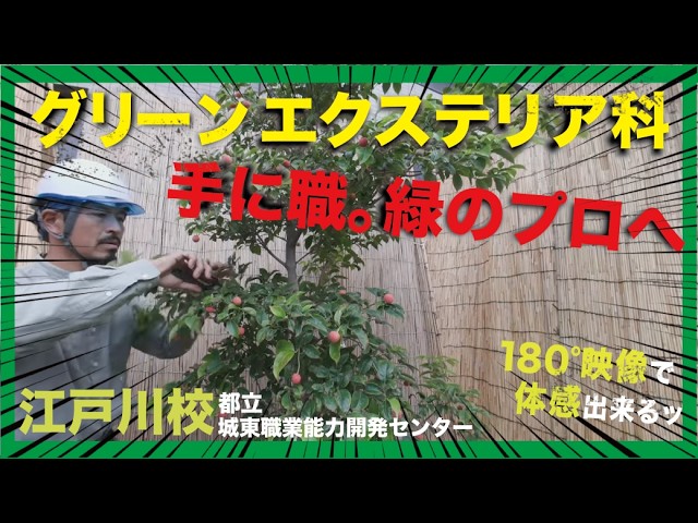 Career Compass Center Vocational Training Introduction VR Video_Architecture and Landscaping (Gre...