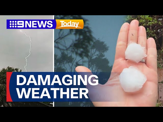 Wild weather damages Queensland with Brisbane battered by hail and thunderstorms | 9 News Australia