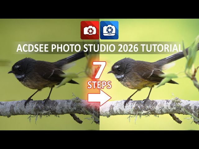 ACDSee Tutorial 2026 - How To EDIT 90% OF YOUR PHOTOS using just 7 STEPS
