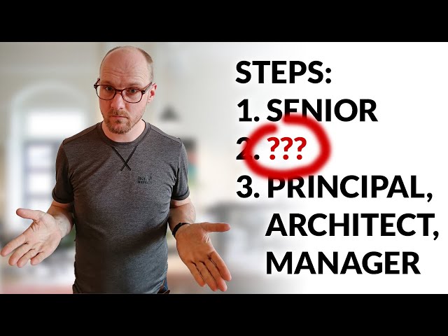 The Missing Skill? (beyond senior software engineer)