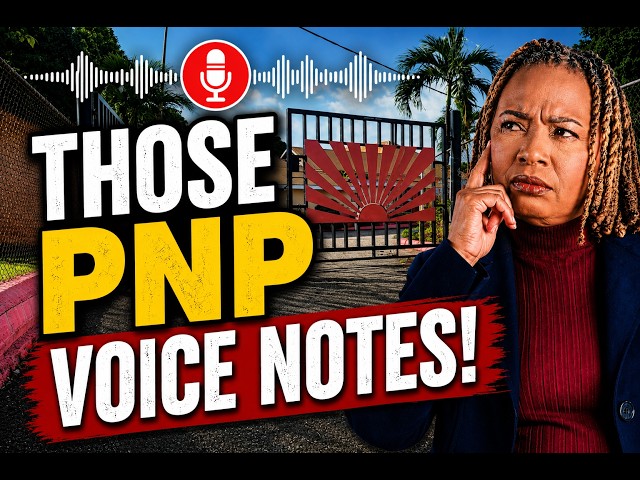 PNP Voice Notes About NaRRA?
