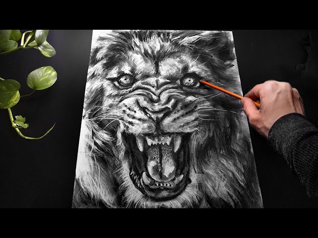 ASMR Drawing a Lion with Charcoal - No Talking