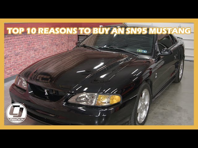 Why Buy an SN95?! 🤔(Top 10 Reasons to Consider this Car!)