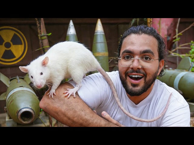 The Superhero Rats that Defuse Bombs