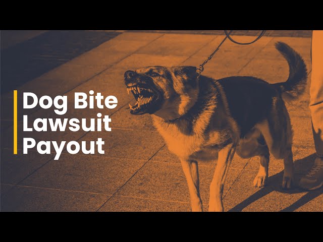 Using the Insurance Adjuster in Your Dog Bite Case