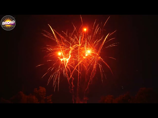 2025 NEW BM4925-2-25 25*30*175MM 49SHOTS MIX SHAPE F3 CAKE