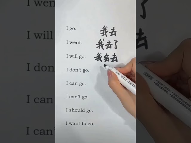 Learn Basic Chinese Tenses in 60 Seconds! 🇨🇳✨| GO