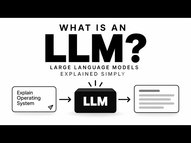 LLM Models Never See Your Words. So What Do They See?