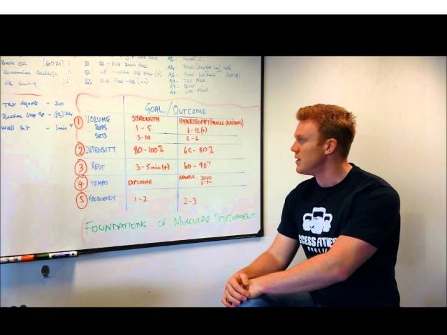 The Foundations of Muscular Development