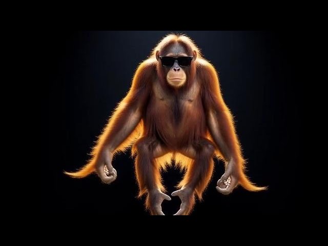 Krystal Waves- Metromatic Official Music Video