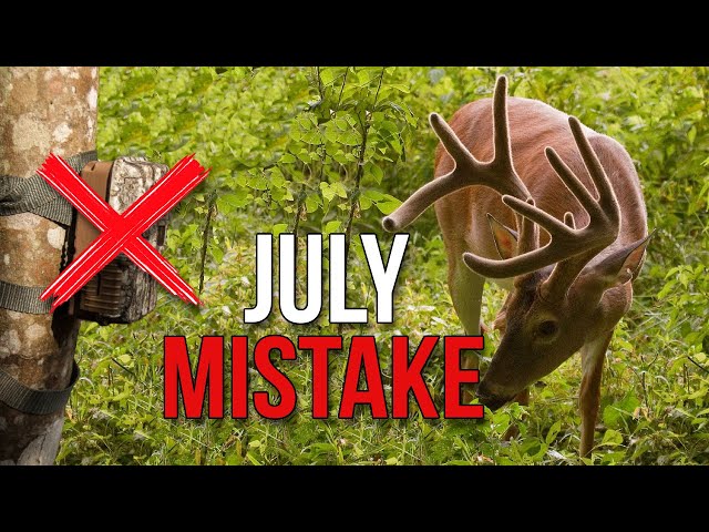 5 Deer Hunting Mistakes You’re Making Right Now