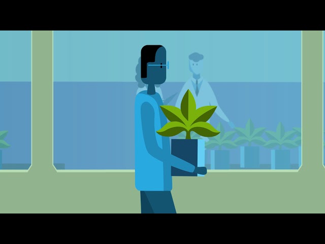 Hyperledger Indy Explainer Video