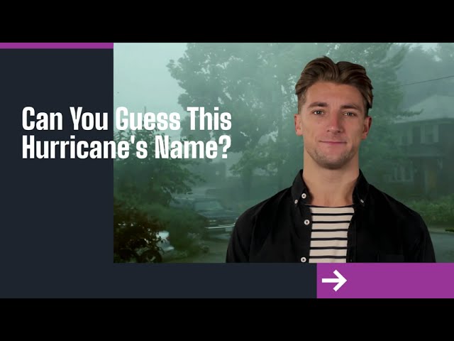 🎥 The Quick Knowledge Drop 🎥