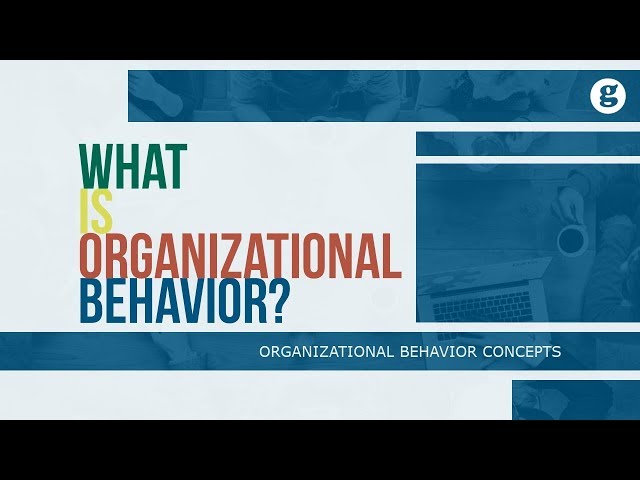 What is Organizational Behavior?