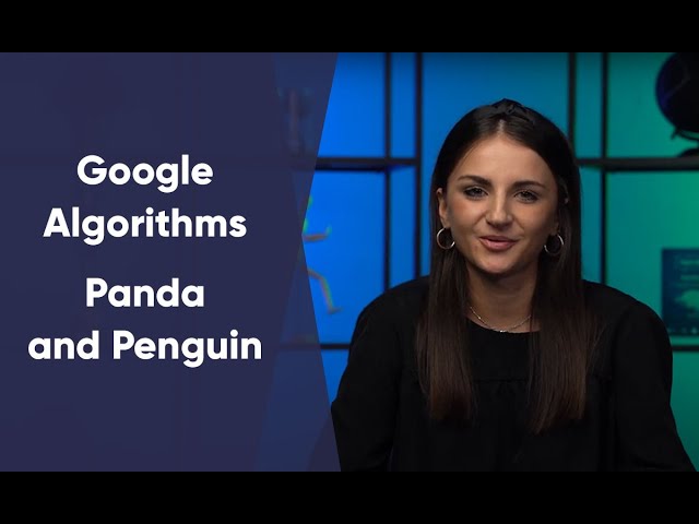 Google Algorithms | Panda and Penguin