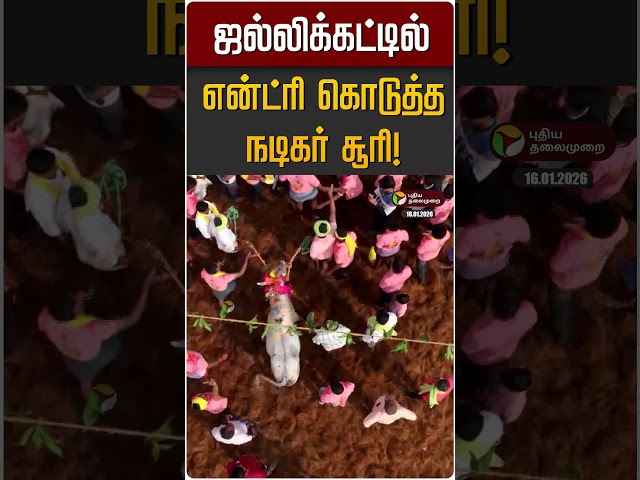 ஜல்லிக்கட்டில் என்ட்ரி கொடுத்த நடிகர் சூரி! | Actor Soori