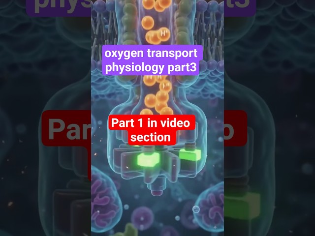 oxygen transport physiology part3